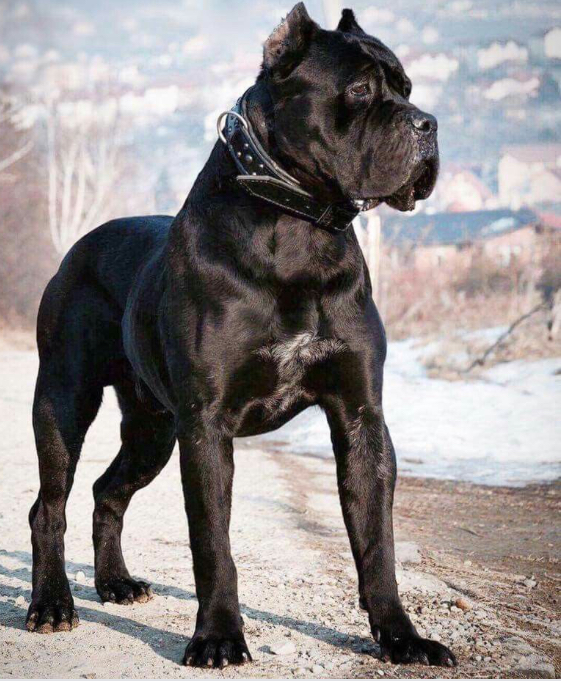 63639057-4C5B-454C-A9AA-B197B1C0986A